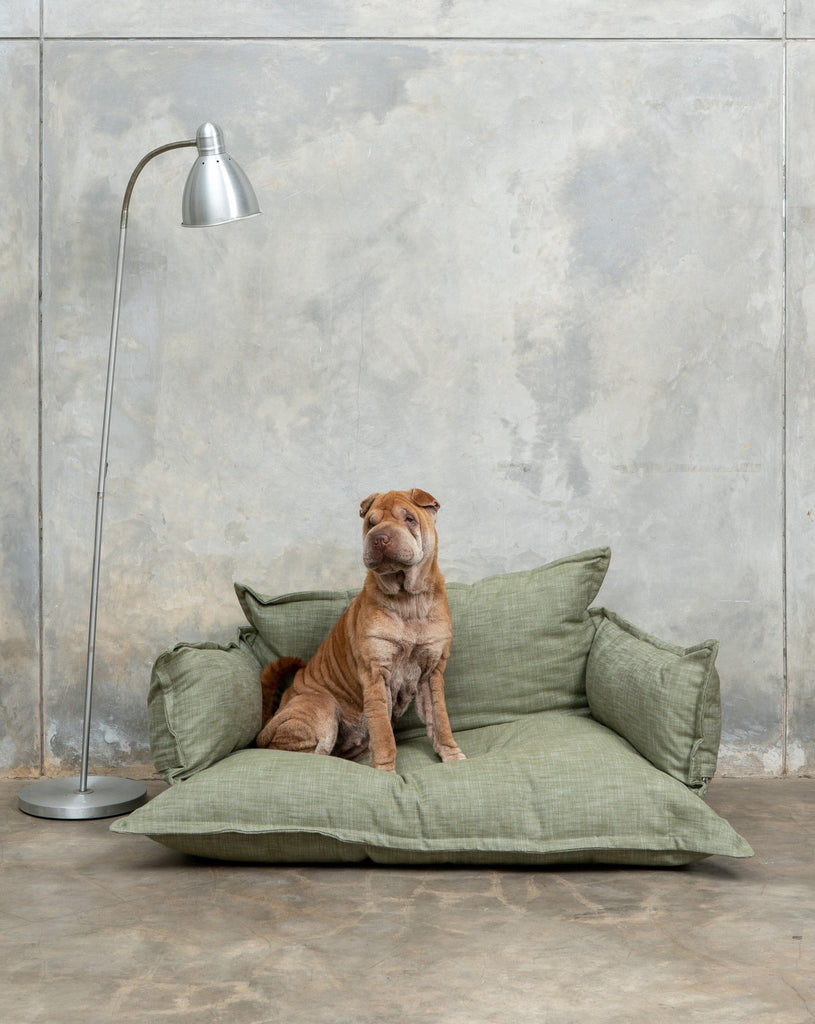 Dog Bed green with sharpei
