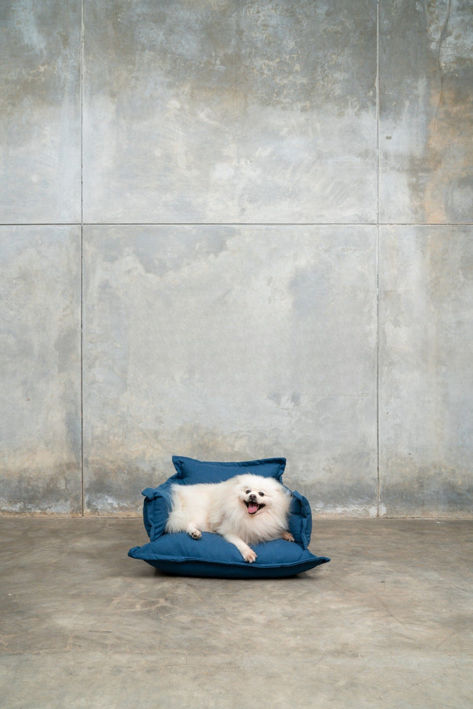 dog bed small blue